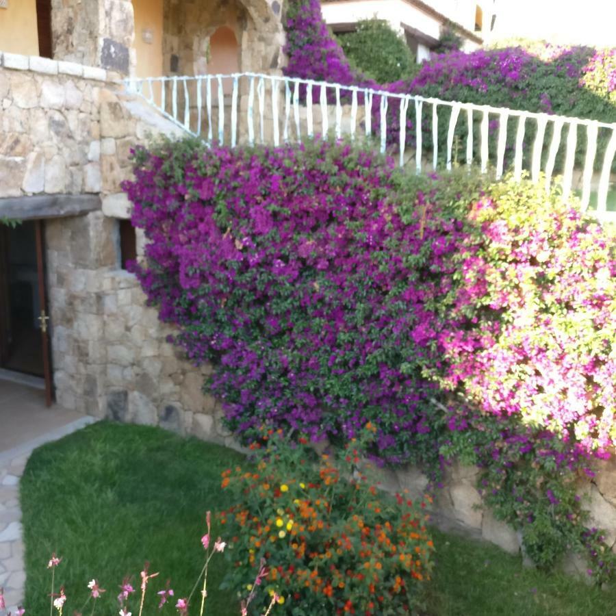Mare Apartment